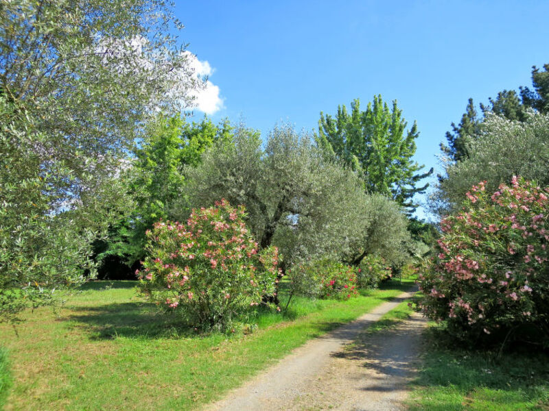 Residence Valdilago