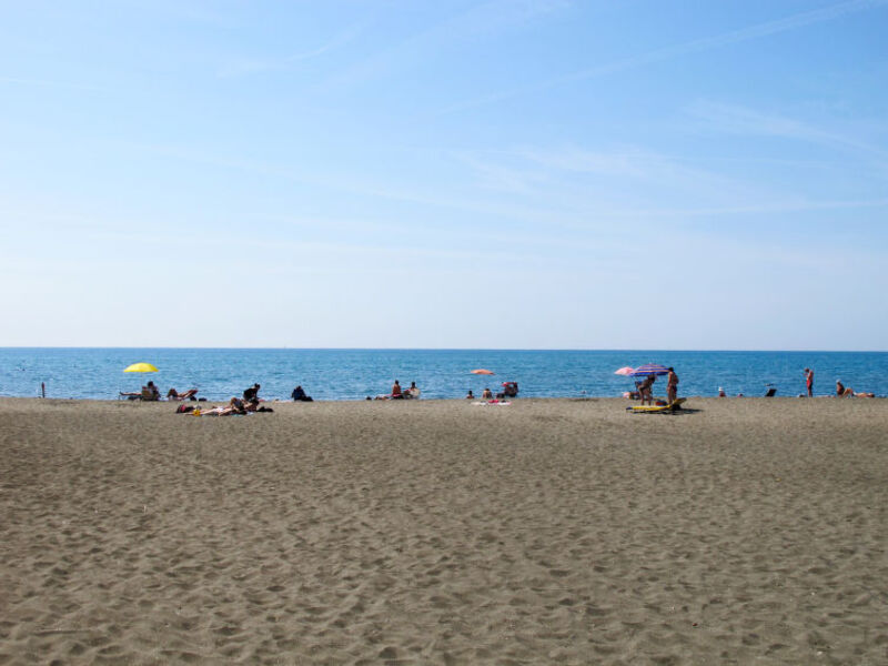 Alga Marina