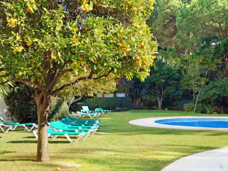 Jardines Del Mar