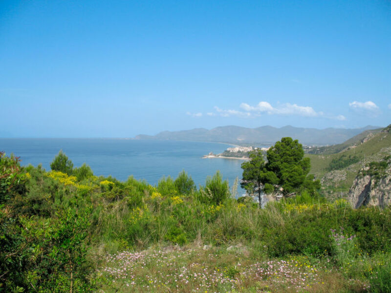 Cetarola