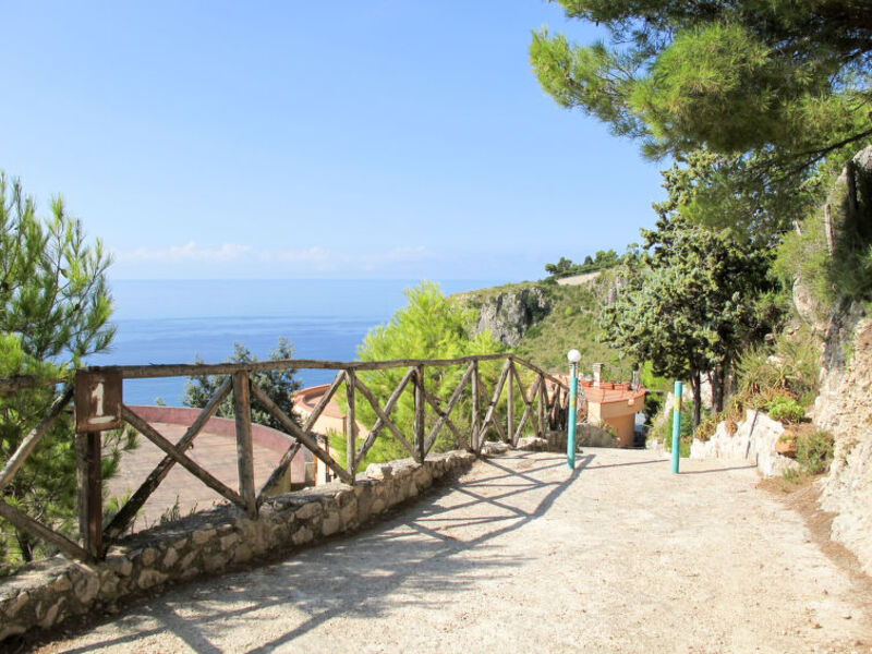Cetarola
