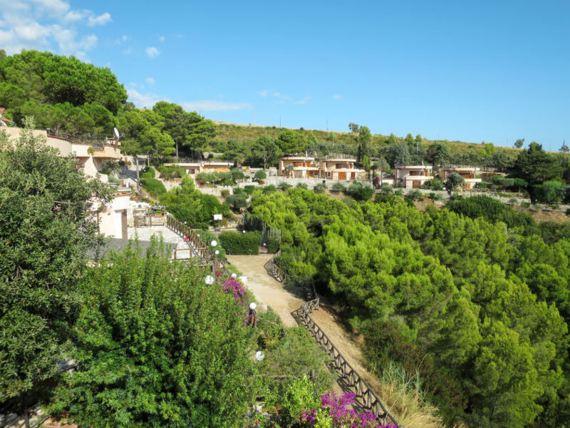 Cetarola