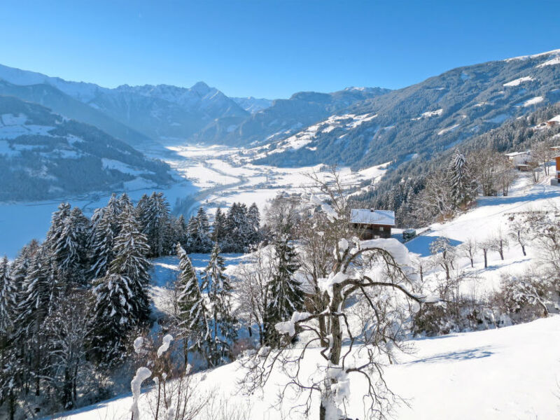 Wildauer