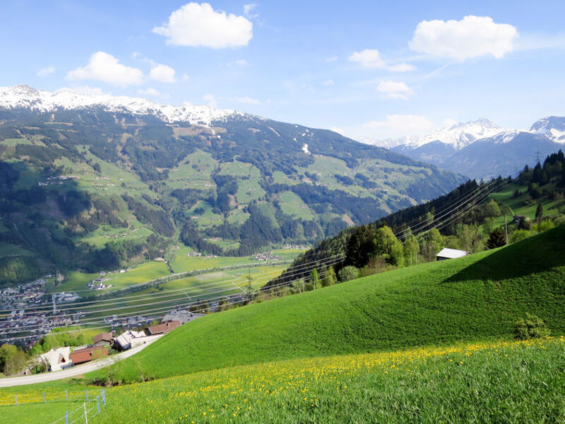 Tennhof