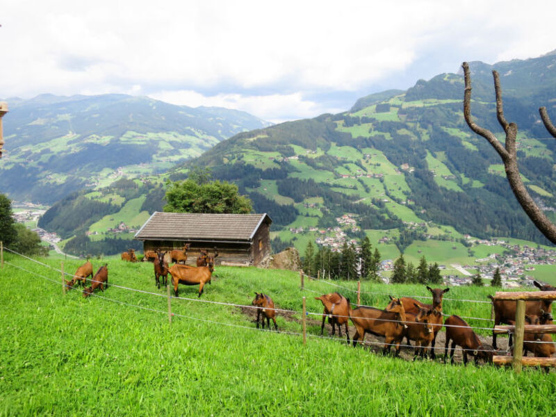 Ferienwohnung Innergruben