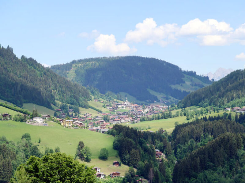 Fichtenblick