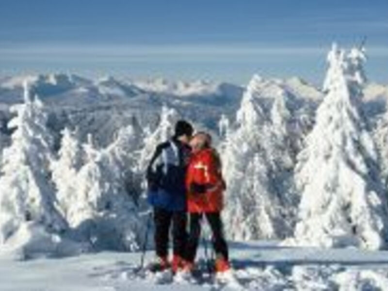 Austria Trend Hotel Lambrechterhof - Liftpass inklusive