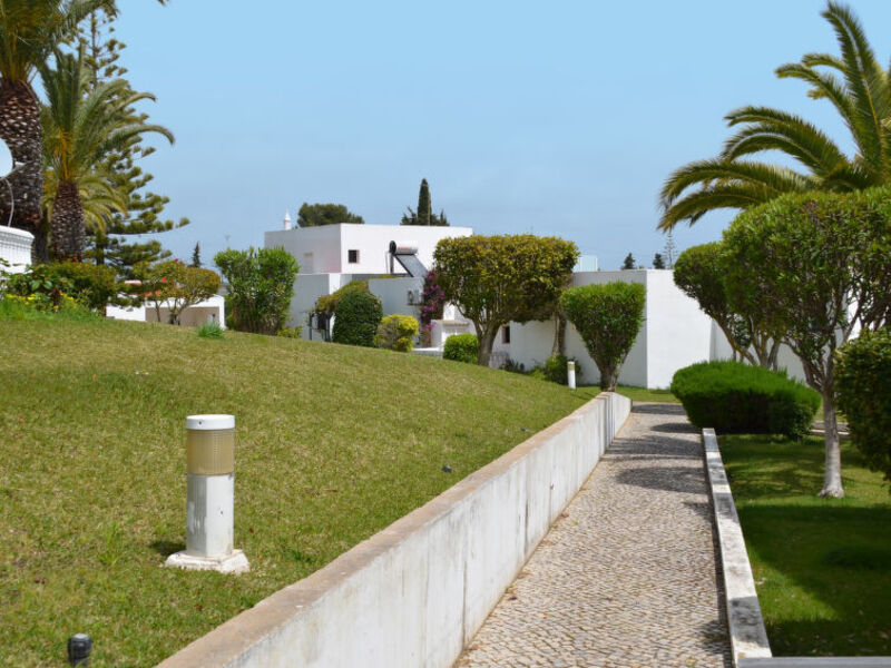 Alporchinhos 39