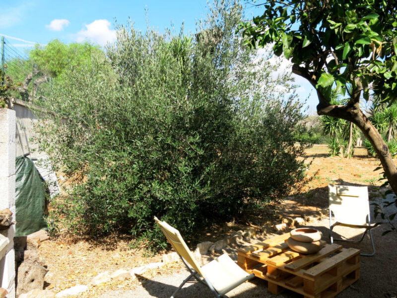 Casa Frasca Olga