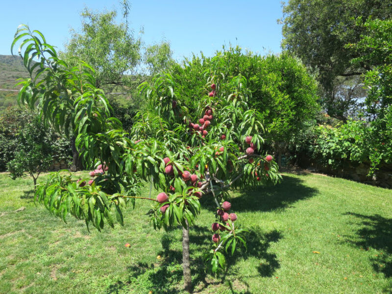 Villa Li Funnesi