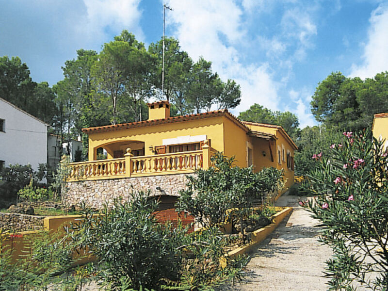 Pineda 102