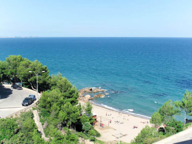Gavina Dor