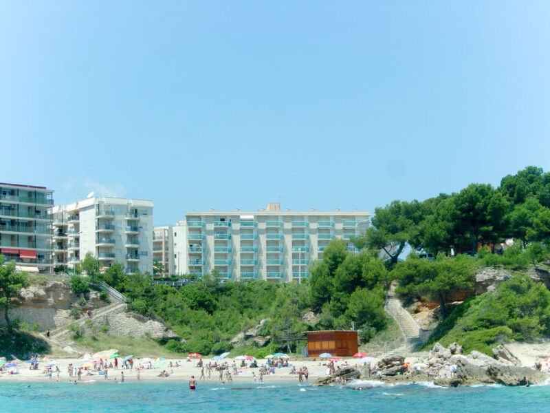 Gavina Dor
