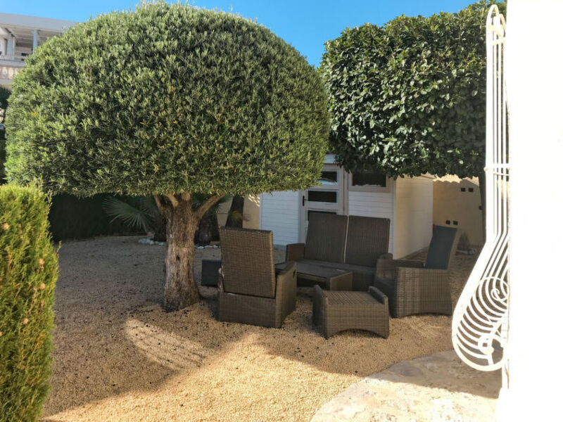 Casa Kalmias