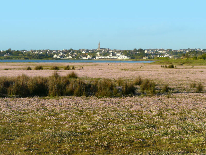 La Maison De La Baie