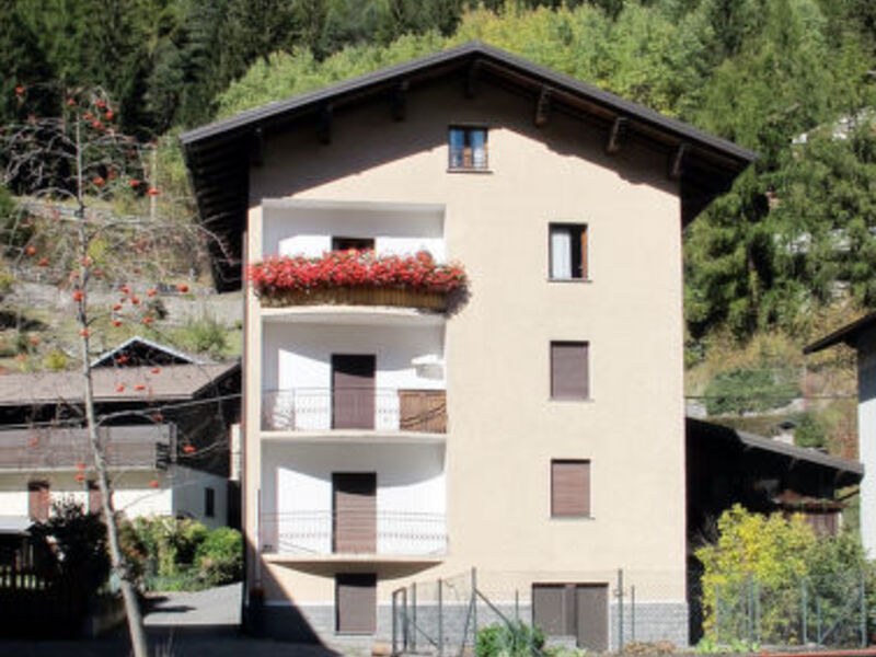 Casa Viola