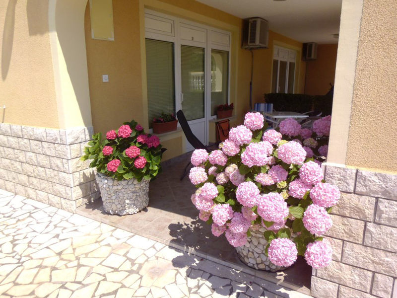 Apartmány Hortenzija