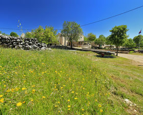 Vila Vinia