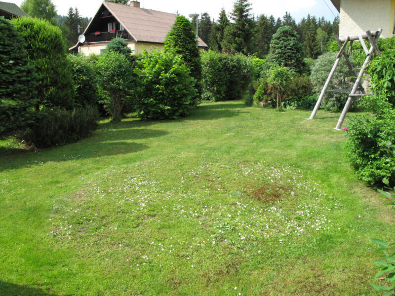 Novy Svet