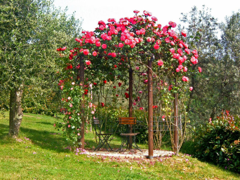 Villa Papiano