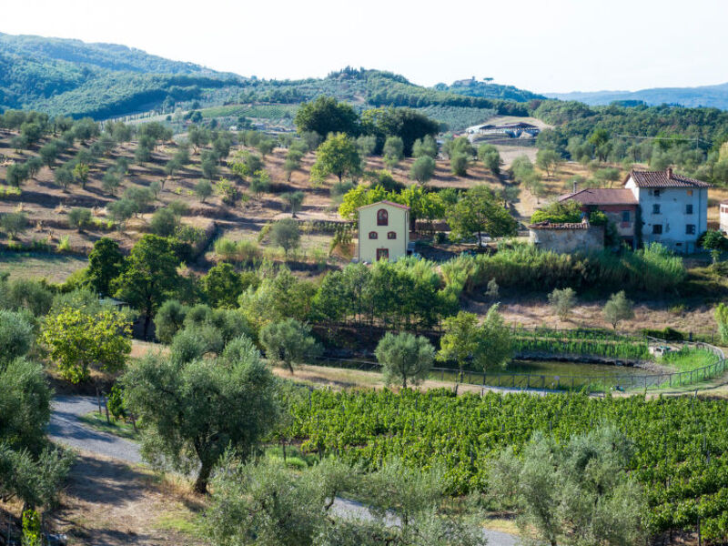 Agriturismo Bello Stare