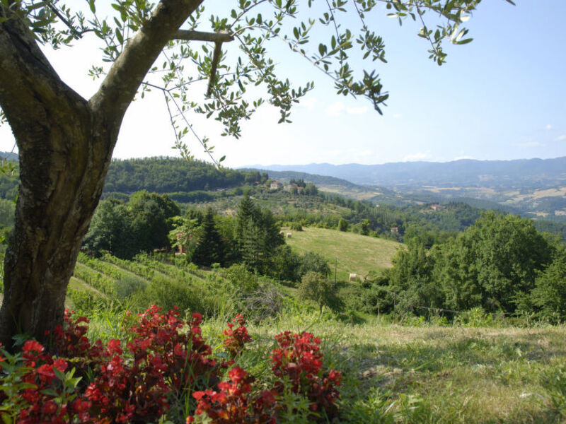 La Fonte