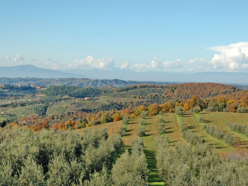 Appartamenti San Vivaldo