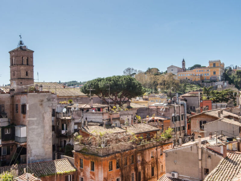 Renzi Amazing Terrace
