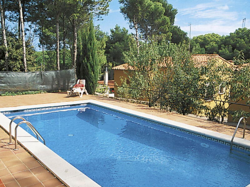 Pineda 102