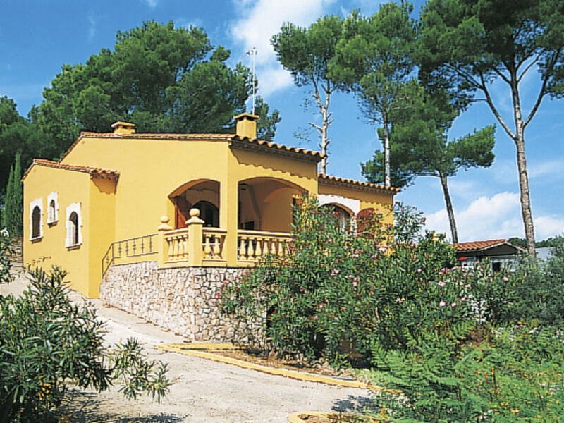 Pineda 102