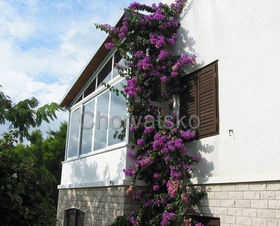 Apartmány Mili