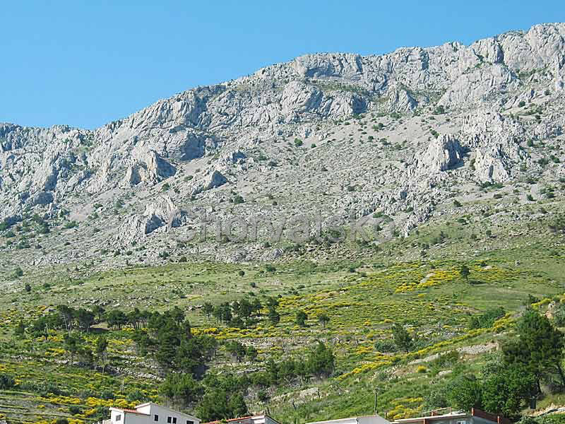 Penzion Borovina