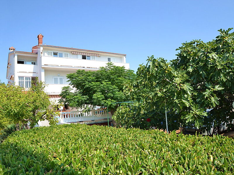 Travaš