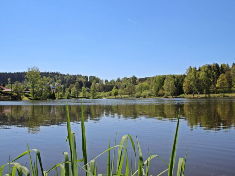 Königsleitn