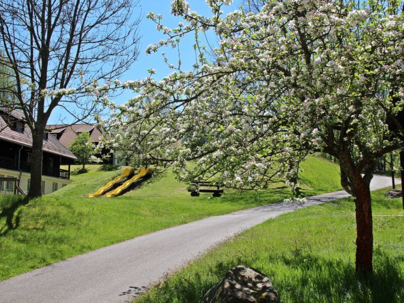 Königsleitn