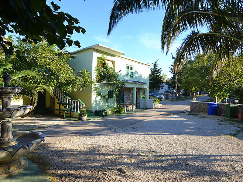 Vitrenik