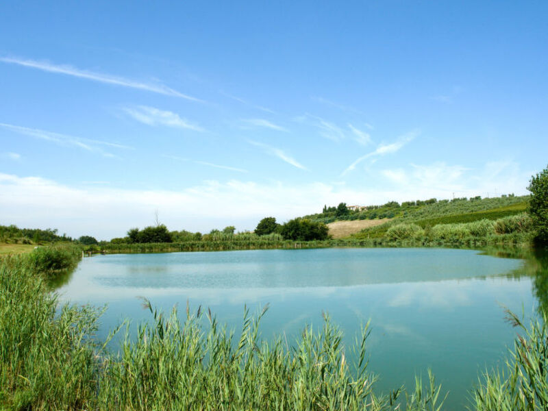 Borgo Fontana
