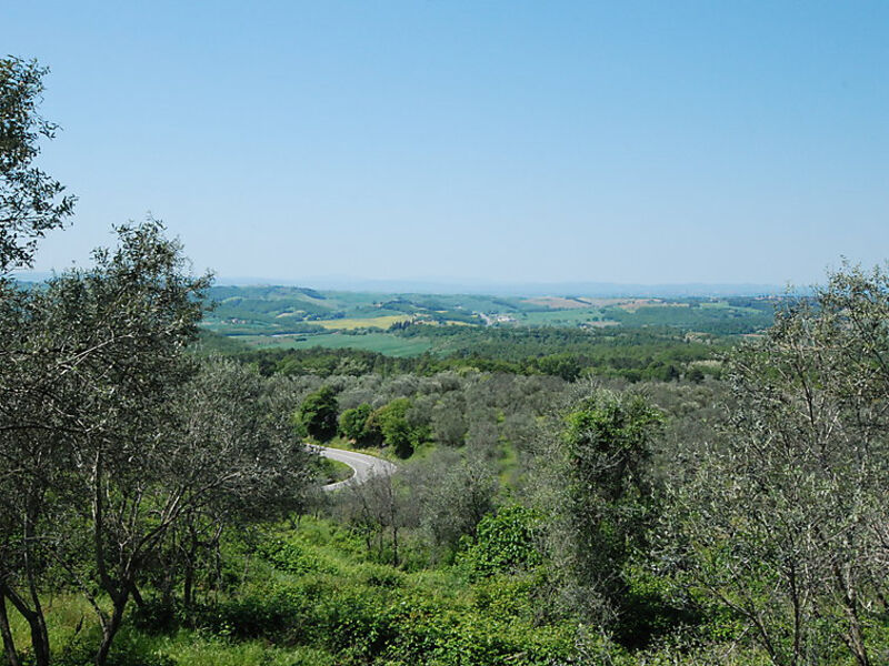 Solitario