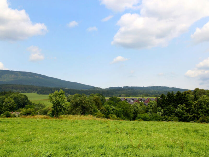 Happy Hill