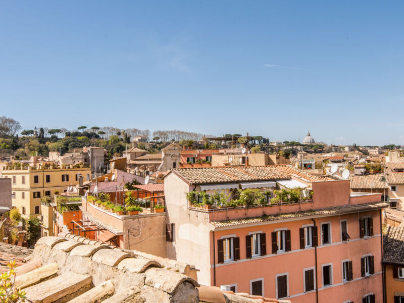 Renzi Amazing Terrace