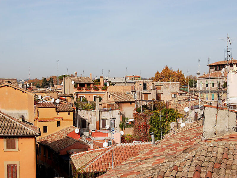 Renzi Amazing Terrace