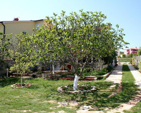 Apartmány 1318-265