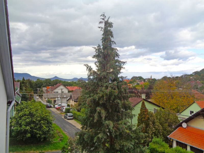 Balaton A363