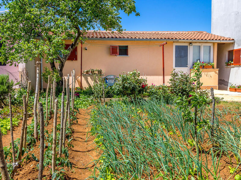 Apartmán 1318-682