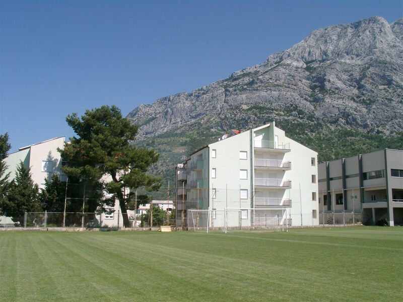 Ruža