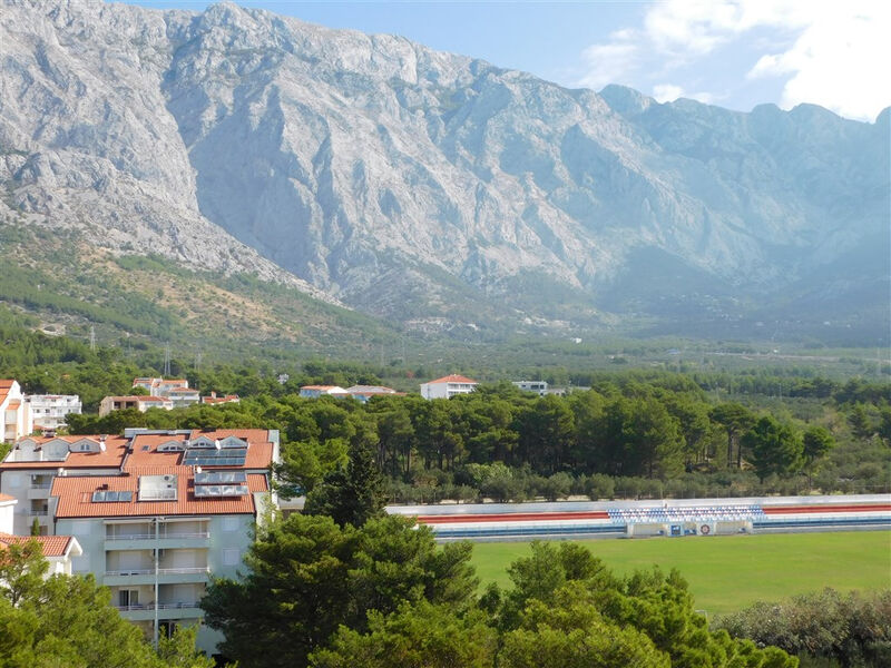 Ruža