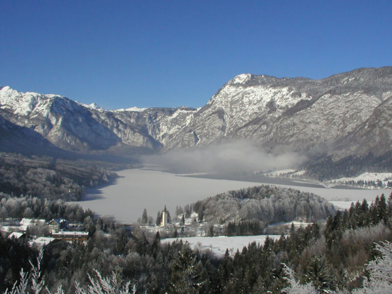 Jezero Bohinj