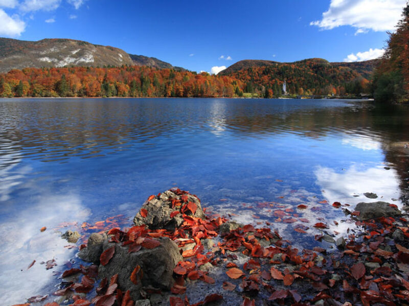 Jezero Bohinj