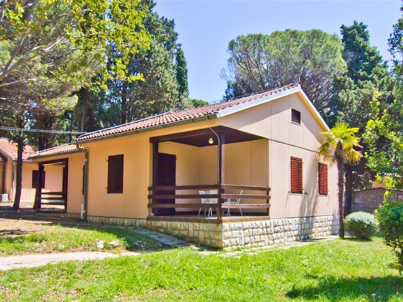 Suha Punta