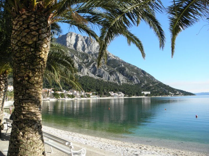 Laguna